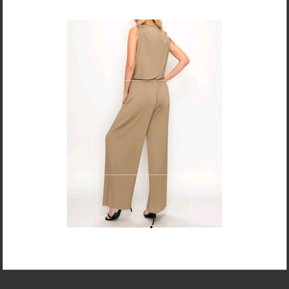Beautiful Pleated Jumpsuit - Picture 2 of 2